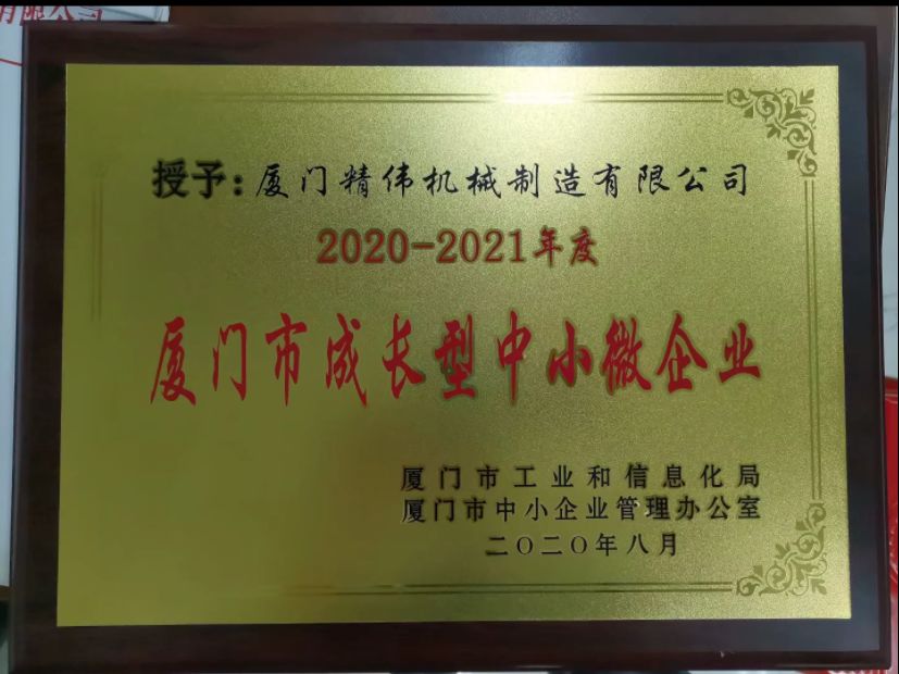 成長型(xíng)中小微企業2020-2021